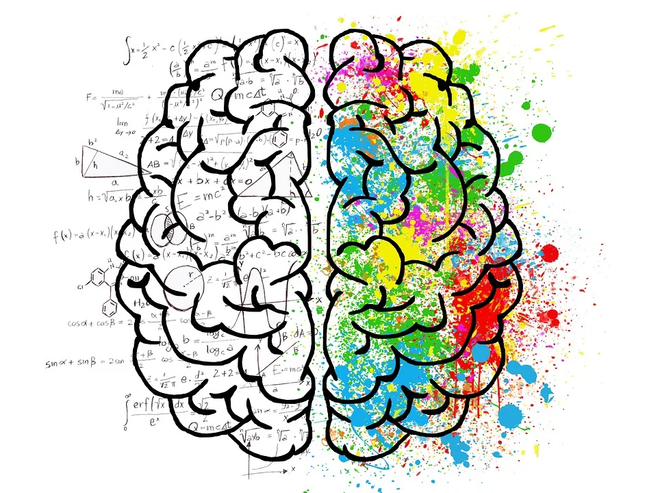 Exploring the Science of Metabolism