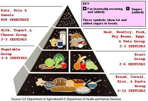 The Low-Fat Diet Myth: What You Need to Know