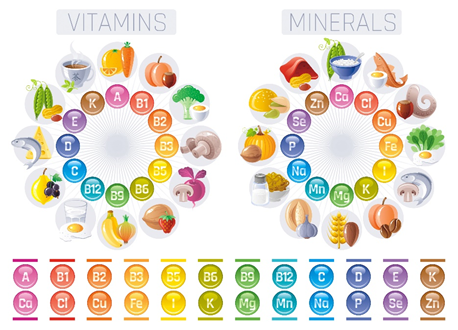 The Role of Micronutrients in Your Diet