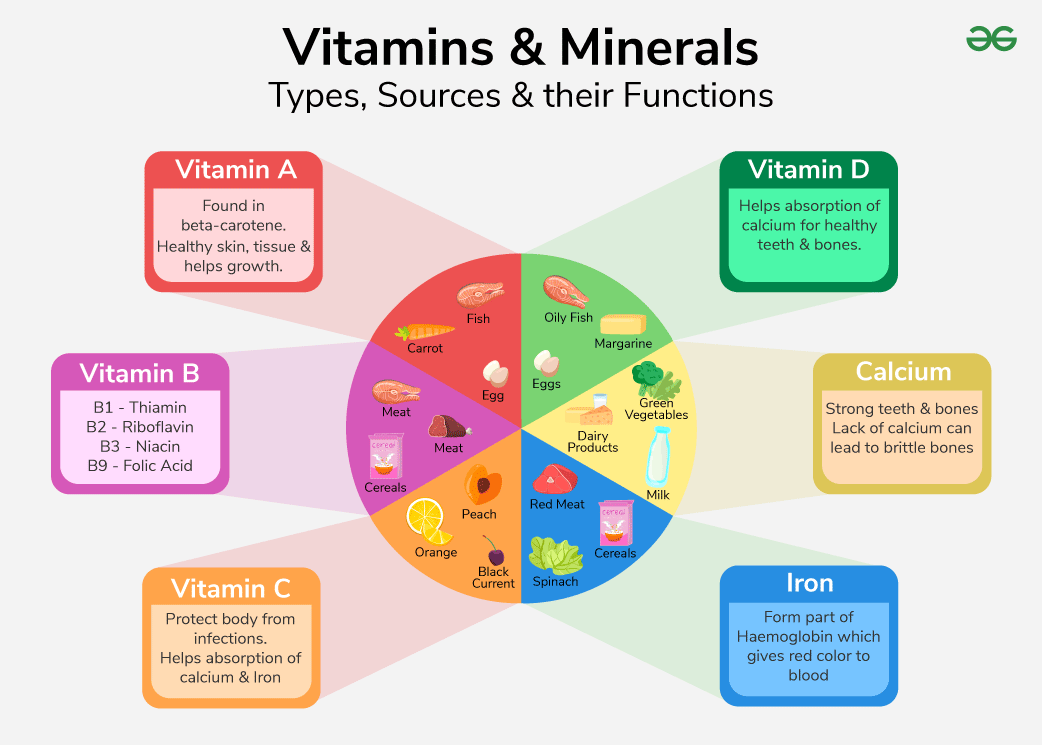 The Role of Vitamins and Minerals in Child Nutrition